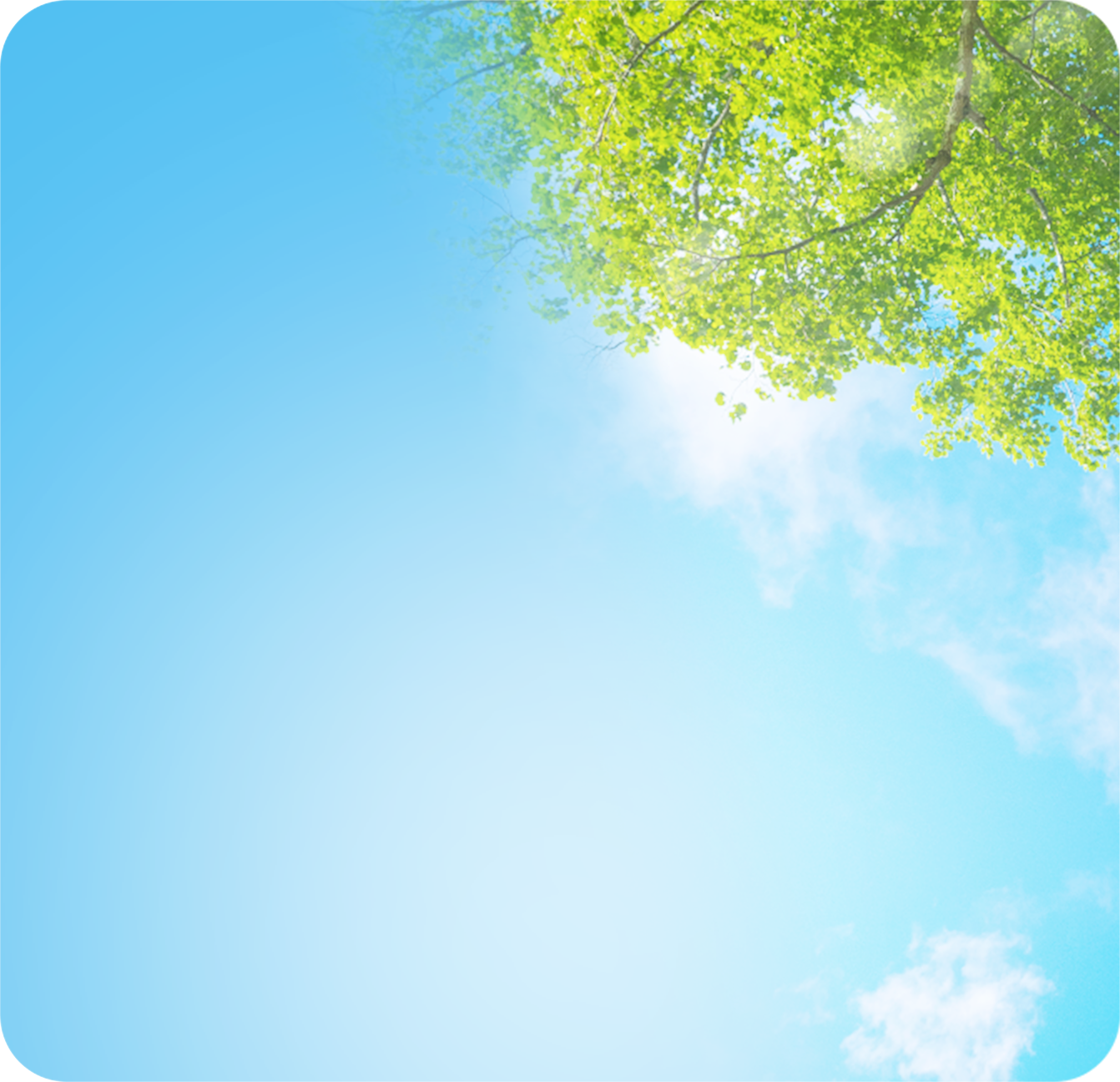 ご家族の大切な資産、確かな調査力と誠実な手続きであなたのもとへ